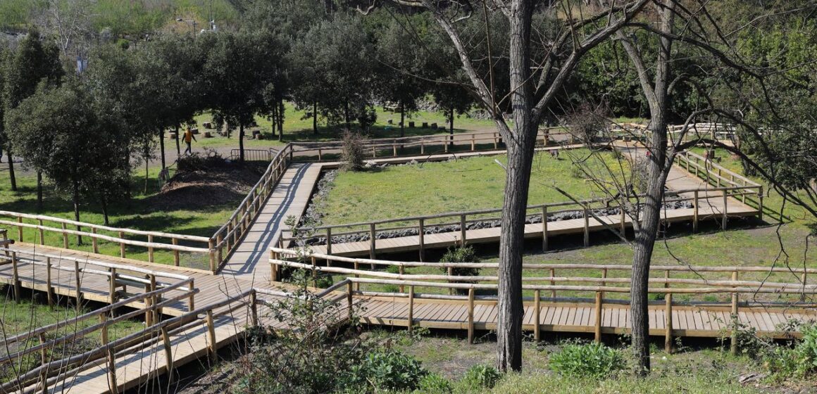 Sentiero_n11_Parco_Nazionale_del_Vesuvio Ri-Party: la Pro Loco Terzigno e Terzigno Verde aderiscono con una passeggiata sul Vesuvio e un clean up
