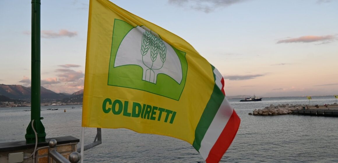 Coldiretti. Domani Cetara capitale europea del tonno, due giorni per disegnare il futuro della filiera